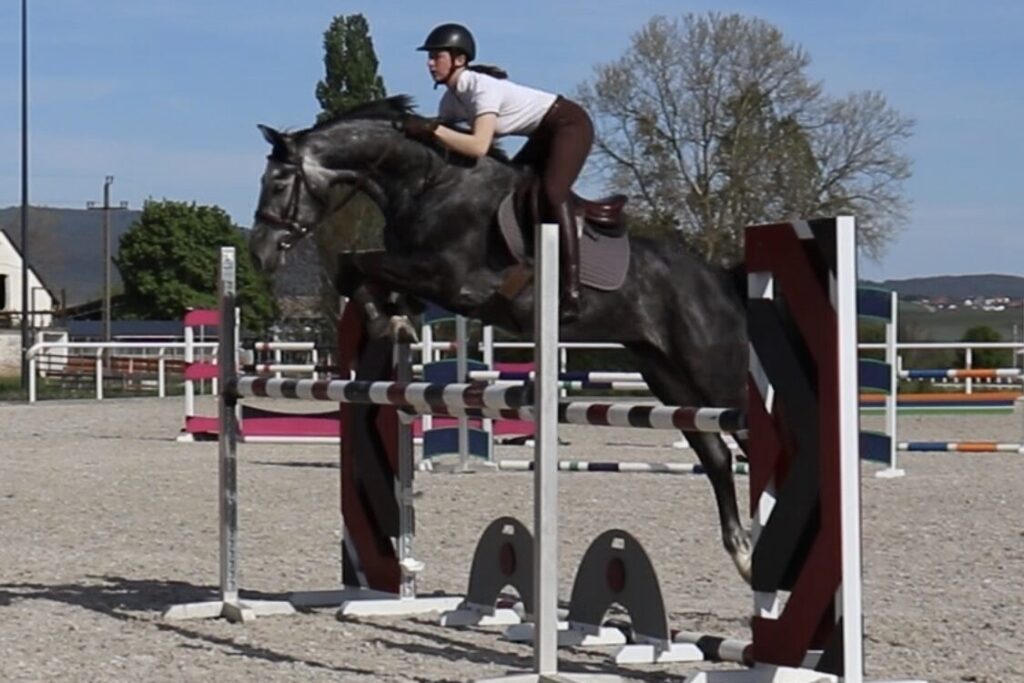 A képhez tartozó alt jellemző üres; D51D879A-A5F6-4EB7-9218-EAAF95AE3596_1_102_o-edited-1.jpeg a fájlnév